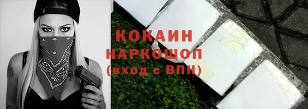 гашик Алзамай