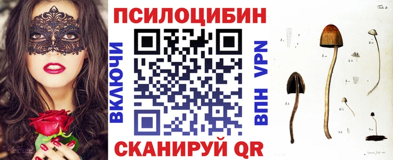 Псилоцибиновые грибы Psilocybe Закаменск