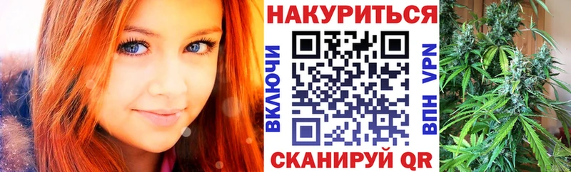 Бошки марихуана MAZAR MEGA как зайти Закаменск
